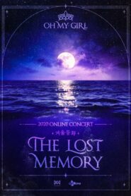 Winter Fairy Tales: The Lost Memory 2020 on netflix