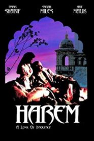 Harem 1986 on netflix