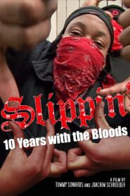 Slippin’: Ten Years with the Bloods 2005 on netflix