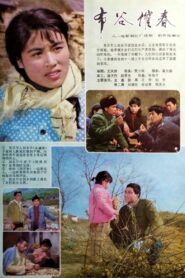 布谷催春 1982 on netflix