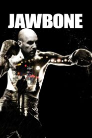 Jawbone 2017 on netflix