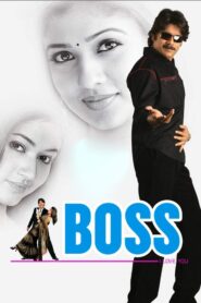 Boss 2006 on netflix