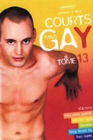 Courts mais Gay : Tome 13 2007 on netflix