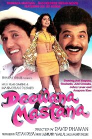 Deewana Mastana 1997 on netflix