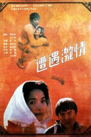 遭遇激情 1990 on netflix