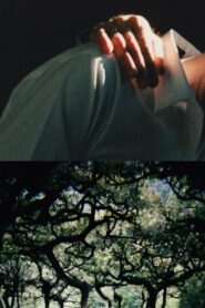 The Hedge Theater 2002 on netflix