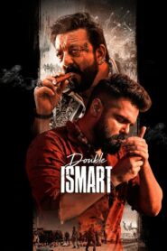 Double iSmart 2024 on netflix