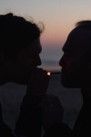 Far from the South 2019 on netflix