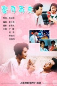 蜜月再来 1992 on netflix