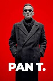 Mister T. 2019 on netflix