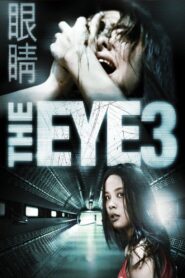 The Eye 3: Infinity 2005 on netflix