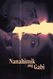 Nanahimik ang Gabi 2022 on netflix
