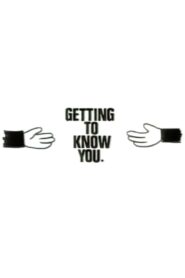 Getting to Know You 1992 on netflix
