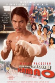Lisensyadong Kamao 2005 on netflix