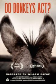 Sanctuary 2017 on netflix