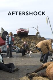 Aftershock 2008 on netflix