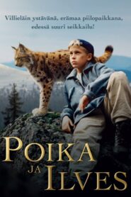 Tommy and the Wildcat 1998 on netflix