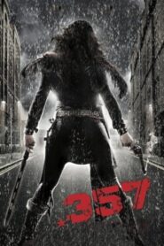.357 2013 on netflix