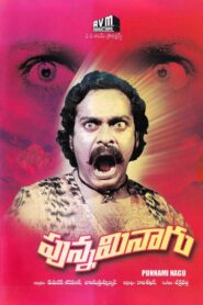 Punnami Naagu 1980 on netflix