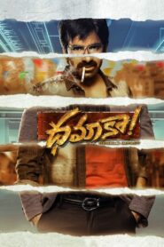 Dhamaka 2022 on netflix