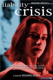 Liability Crisis 1995 on netflix