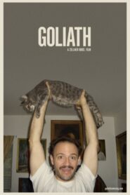 Goliath 2008 on netflix