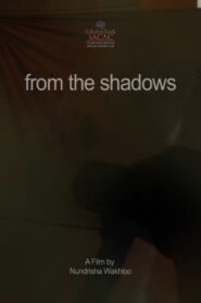 From the Shadows 2016 on netflix