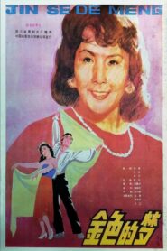 Jin se de meng 1985 on netflix