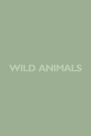 Wild Animals 1980 on netflix