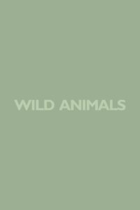 Wild Animals 1980 on netflix