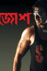 Josh 2010 on netflix