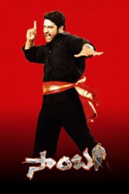 Samba 2004 on netflix