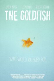 The Goldfish 2013 on netflix