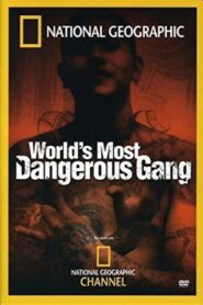 World’s Most Dangerous Gang 2005 on netflix