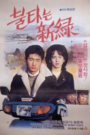 A Country Affair 1984 on netflix