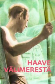 A Dream of the Mediterranean 1991 on netflix