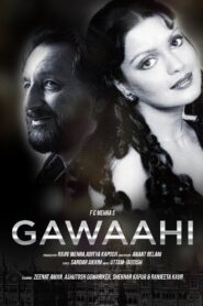 Gawaahi 1989 on netflix
