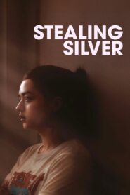 Stealing Silver 2017 on netflix