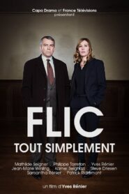 Flic tout simplement 2015 on netflix