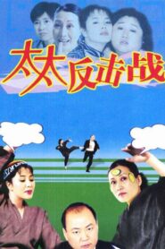 太太反击战 2003 on netflix