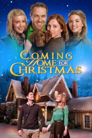 Coming Home for Christmas 2013 on netflix