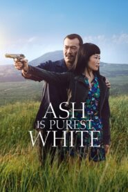 Ash Is Purest White 2018 on netflix