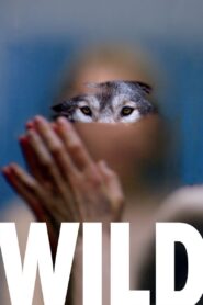 Wild 2016 on netflix