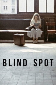 Blind Spot 1981 on netflix
