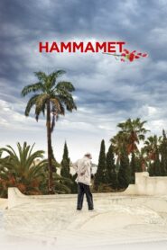 Hammamet 2020 on netflix