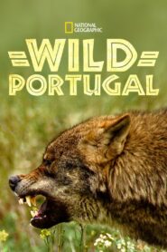 Wild Portugal 2020 on netflix