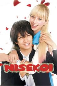 Nisekoi: False Love 2018 on netflix