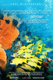 Underwater Impressions 2002 on netflix