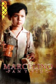 The Miracle of Marcelino 2010 on netflix