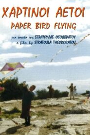Paper Bird Flying 2002 on netflix